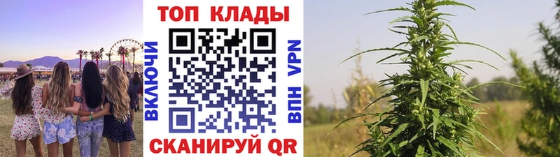 Где купить наркоту Можга Гашиш  Cocaine  Мефедрон 
