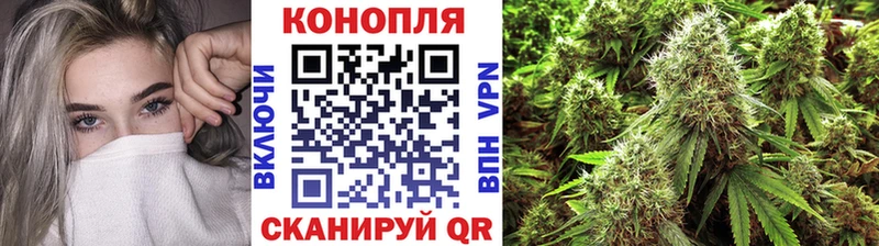 Конопля Bruce Banner omg как зайти Можга